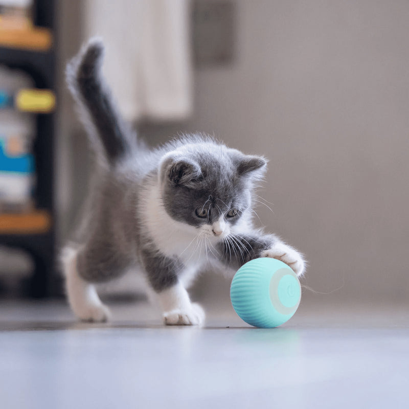 Bolinha Inteligente para Pets